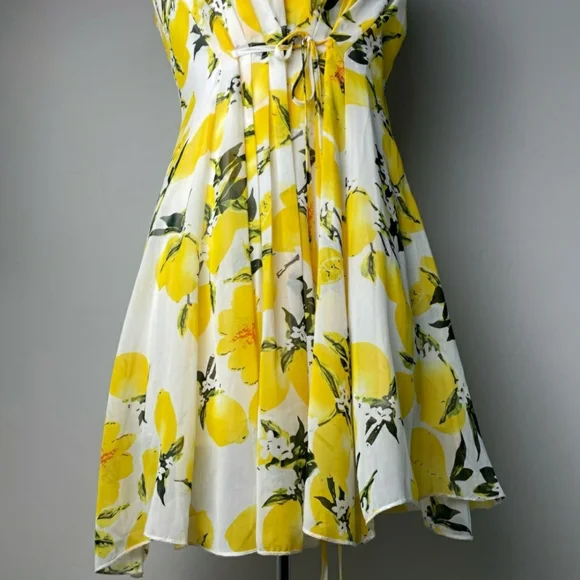Molly Bracken 🍋 Dress - Picture 4 of 4